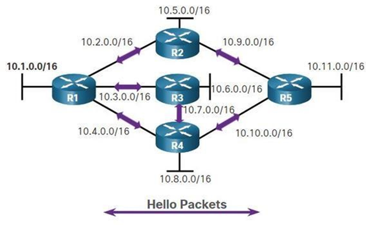 hello_packets
