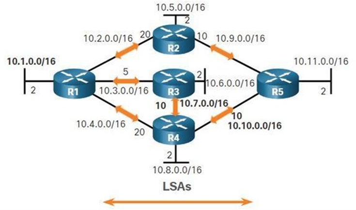 lsa_packets