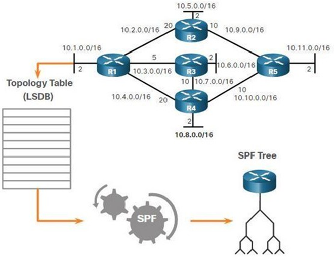 lsdb_table